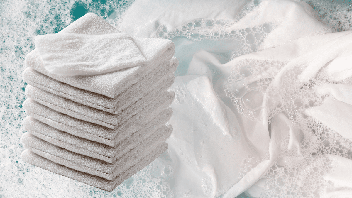PureCycle feature - sterilization management interface